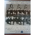 Picture/Print hard Glossy paper Springbok Rugby Team/ British Touring Team 1968+signatures-42x32cm