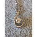 Dazzling Silver Necklace
