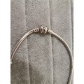 Silver Pandora Necklace