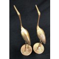 Pair of Brass Birds