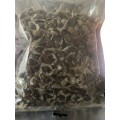 moringa seeds ( bulk seeds )