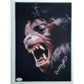 American werewolf in London  signed photo