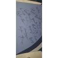 Rare Blue Bulls Super Rugby Jersey signed by 29 legends.