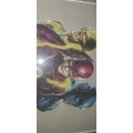 The Flash signed by Sa artist Rob Silva Picture