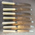 Vintage Sheffield bone handled knive set (Good condition)