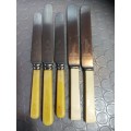 Vintage sheffield bone knives