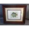 Very Beautiful Solid Wood Framed Fish Drawing