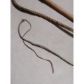 VINTAGE ANTIQUE Braided LeatherBull Whip