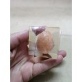 SEMI PRECIOUS STONE EGG ENCASED IN ACRYLIC GLASS PAPER WEIGHT 1 OF 6