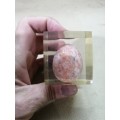 SEMI PRECIOUS STONE EGG ENCASED IN ACRYLIC GLASS PAPER WEIGHT 4 OF 6