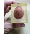 SEMI PRECIOUS STONE EGG ENCASED IN ACRYLIC GLASS PAPER WEIGHT 6 OF 6