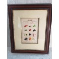 STUNNINGLY SHADOW BOX FRAMED FLY FISHING LURE COLLECTION 2 OF 2