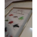 STUNNINGLY SHADOW BOX FRAMED FLY FISHING LURE COLLECTION 2 OF 2