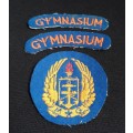 SA Army  Military Gymnasium Cloth Badges        D1