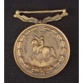 SADF - FULL SIZE DE WET (10 YEAR) SERVICE MEDAL NUMBERED 22260