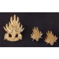 Regiment North East Cape Cap And Collar Badges           X17