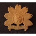 Infantry Regiment Oranje Gelderland Collar Badge   Size: 35 x 40mm              X48