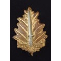 Stellenbosch University Regiment Bi-Metal Cap Badge     X136