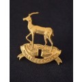Pretoria Regiment Beret Badge             X144