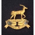 Pretoria Regiment Beret Badge             X144