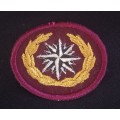 Reconnaissance Commando beret badge                      X188