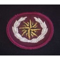 SADF Recce special Forces beret cloth badge        X189