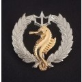 Scarce Sa Navy Independent Ships & Air Sea Rescue flotilla badge    X194