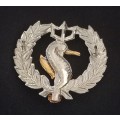 Scarce Sa Navy Independent Ships & Air Sea Rescue flotilla badge    X194