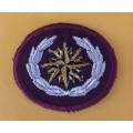 SA. Special Forces Beret Badge                     V23