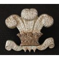 Royal Wiltshire Yeomanry  Bi-Metal Badge   ( SCARCE )        Size: 34 x 38mm       M8