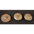 Buttons 15TH Regiment or Bengal Native Infantry  1901 - 1922                 M12