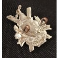 Cape Town Highlanders Bi-Metal Collar Badge                         M23