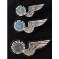 South African Air Force Wings      ( Note condition  )  All Pins Intact                 O65