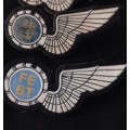 South African Air Force Wings      ( Note condition  )  All Pins Intact                 O65