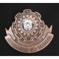 Bophuthatswana Defence Force Logistic Corps Cap Badge                M4