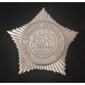 ROYAL LESOTHO MOUNTED POLICE CAP BADGE                           F55