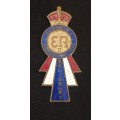 Coronation Of Queen Elizabet II 1953 SALISBURY SOUVENIR Badge                              M32
