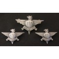 3 Parachute Battalion Beret And Collar Badges                          F85