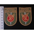 SA Police Special Task Force Unit Cloth Badge Pair                   F88