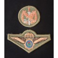 Special Task Force Operators Badge + Special Task Force Wing Badge                F89