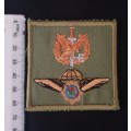 Police Task Force Cloth Badge                       F92