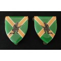 SADF Danie Theron Combat School Shoulder Flashes                               H11