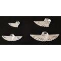 Full set of 101 Air Supply Company Instructor & Despatcher wings - (Regular & Mess Dress size)  F98