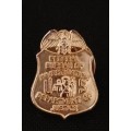 FBI PIN BADGE DEPARTMENT OF JUSTICE   ( Size: 19 x 14mm )           F115
