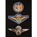 Special Task Force Operators Badge + Special Task Force ( Blue Field Dress ) & Metal Wing       F117