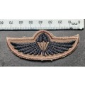 Air Supply Instructor Breas Badge                      F124