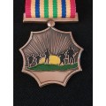 SADF & SANDF - SADF - MK Luthuli Detachment medal (Bronze) - Full size  Number 055              F164