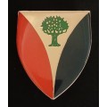 SADF REGIMENT VRYSTAAT  SHOULDER FLASH                        D94