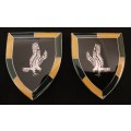 SADF 118 BATTALION SHOULDER FLASHES  `` Very SCARCE `                        H45