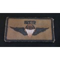 S.W.A PARATROOPER INSTRUCTOR WINGS                              V69